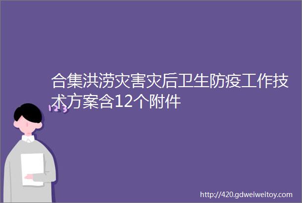 合集洪涝灾害灾后卫生防疫工作技术方案含12个附件